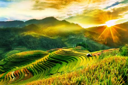 Ảnh của 8 LÝ DO BẠN NÊN ĐẾN SAPA VÀO MÙA HÈ